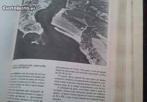 imagem_8