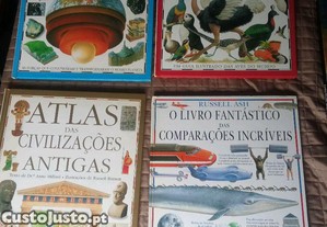 imagem_3