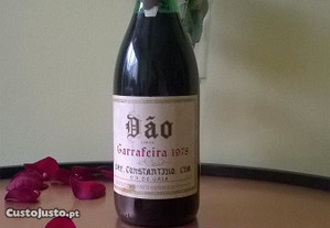 imagem_3