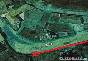 imagem_11
