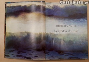 imagem_7