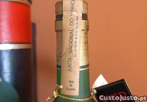 imagem_5