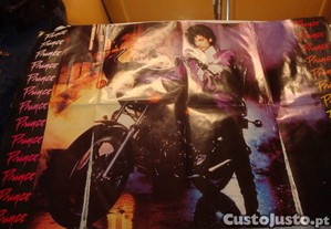 imagem_7