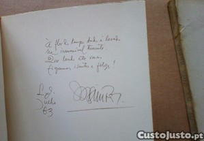 imagem_8