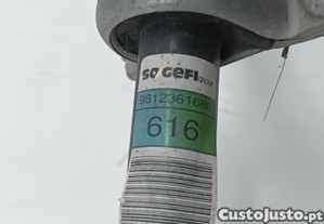 imagem_4