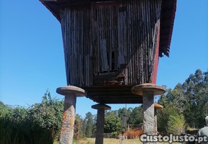 imagem_1