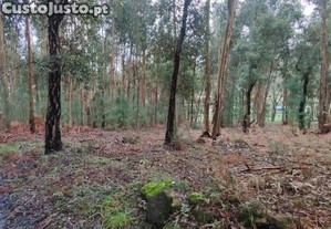 Terreno Agrícola em Bela