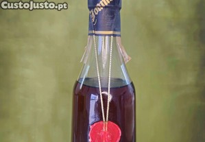 imagem_7