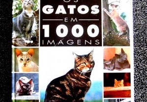 Os Gatos em 1000 Imagens