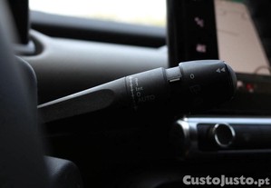 imagem_22