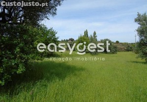 imagem_11