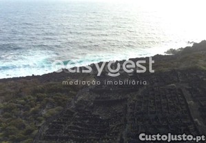 imagem_11