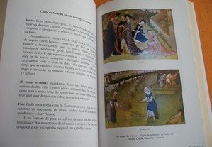 imagem_7