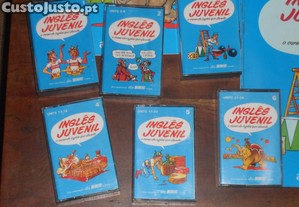 imagem_3