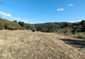 Terreno Agrícola em Viana do Castelo de 6500,00 m²