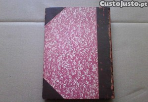 imagem_7