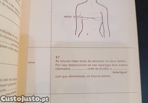 imagem_6