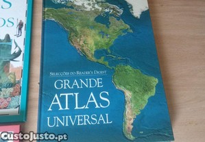 imagem_5