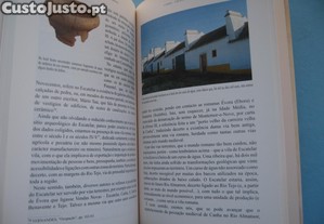 imagem_7