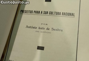 imagem_6