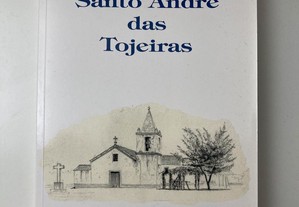 Santo André das Tojeiras