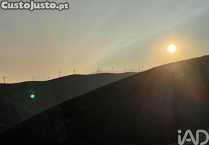 imagem_22