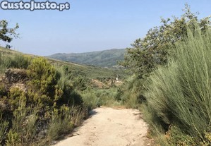 Terreno na natureza perto de Baiao