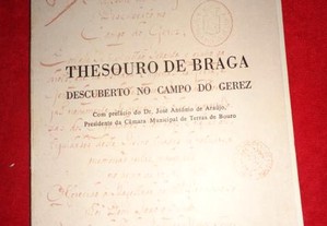 Thesouro de Braga descuberto no campo do Gerez