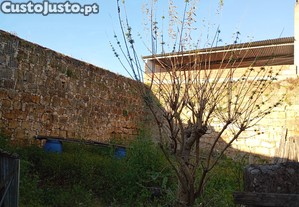 imagem_9