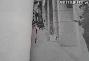 imagem_7
