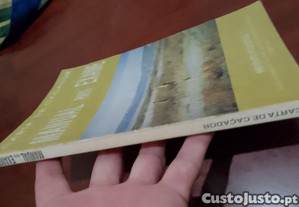 imagem_2