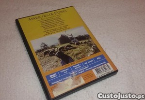 imagem_7
