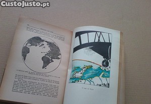 imagem_5