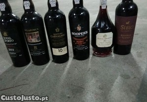 imagem_1