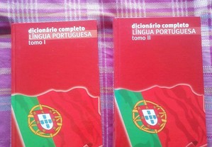 Dicionários língua portuguesa