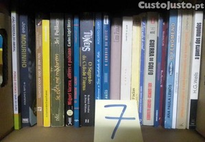 imagem_2