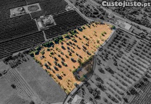 Terreno de 20,176 m2 com Ruina em Alvalede - Algoz
