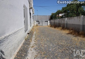imagem_11