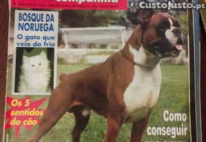 imagem_5