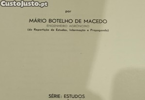 imagem_8