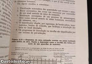 imagem_7