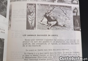 imagem_7
