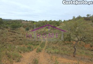 Herdade Com 266.000 Mts Perto De Alte!