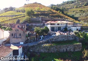 2 Moradias com vinha de 2,3 ha