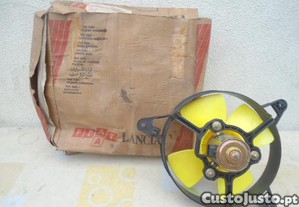imagem_7