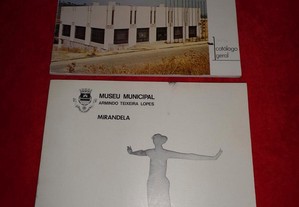 Museu Municipal Armindo Teixeira Lopes-Mirandela