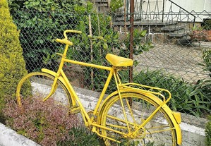 Bicicleta Holandesa (antiga)