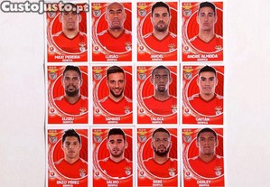 imagem_1