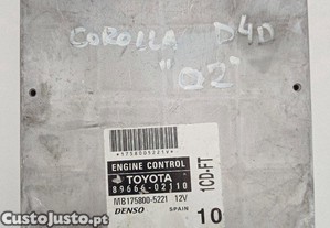 imagem_1