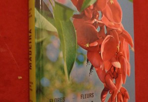 Madeira flores-fleurs-flowers-blumen-blomster